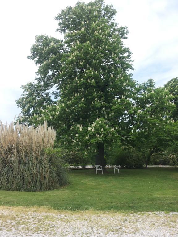 Malalbergo Agriturismo Al Navile מראה חיצוני תמונה